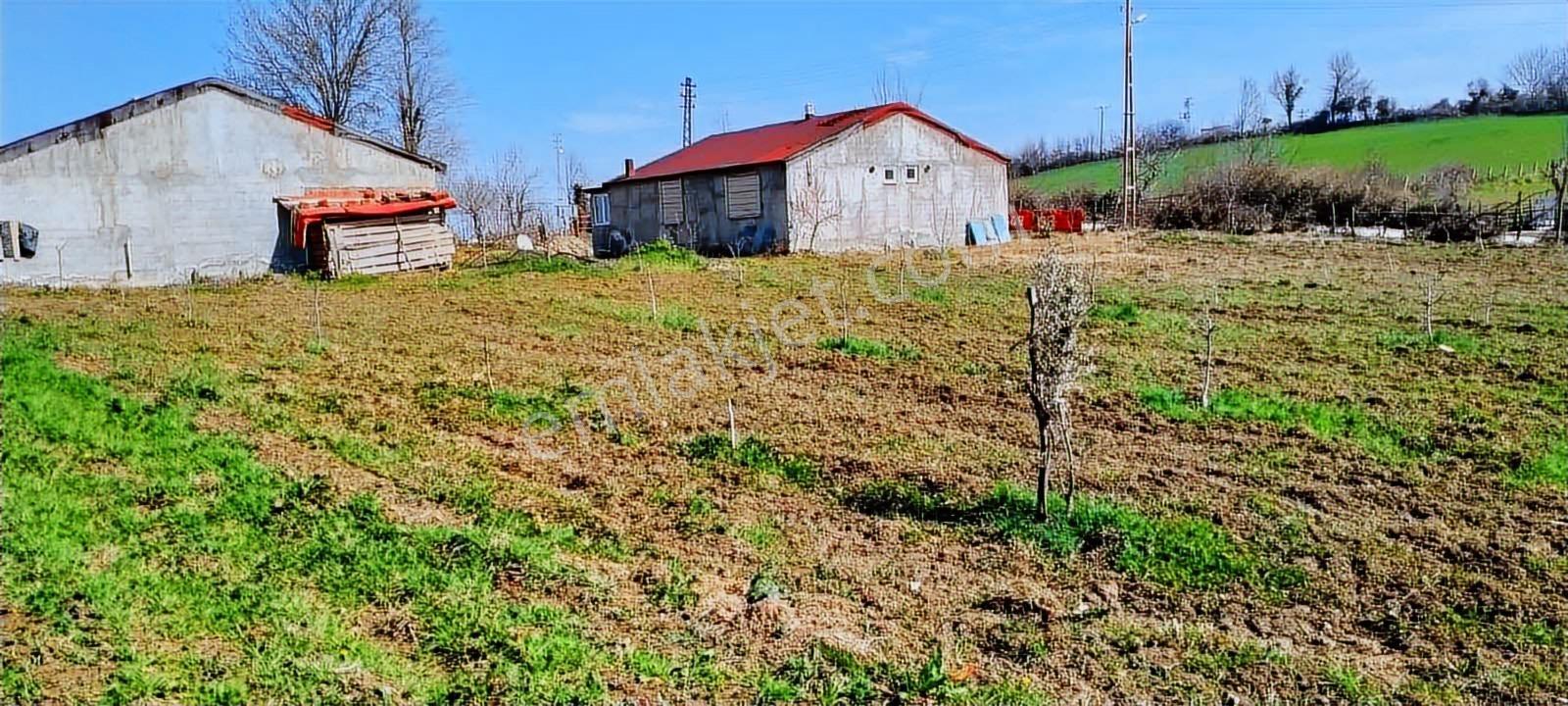 Mavi Atlas'tan Samsun Alaçam'da Satılık Müstakil Ev — fotoğraf 24