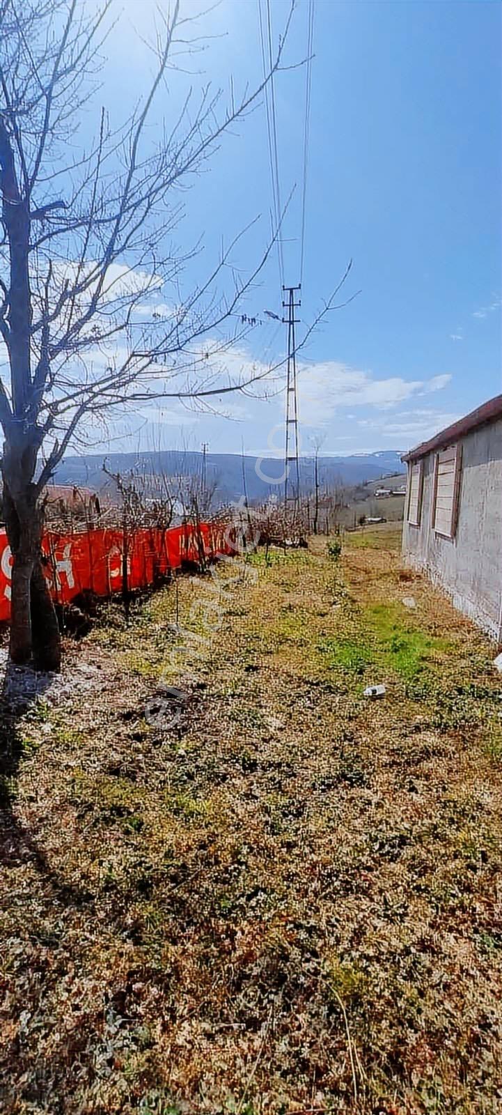 Mavi Atlas'tan Samsun Alaçam'da Satılık Müstakil Ev — fotoğraf 25
