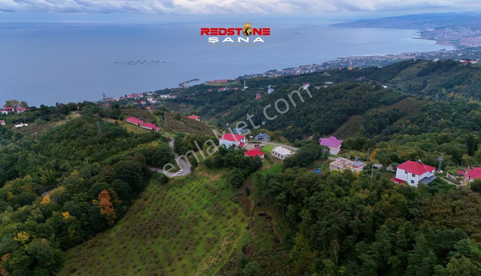 Akçaabat Yeniköy Yola Cepheli 2856 M2 Deniz Ve Doğa Manz. Arsa — fotoğraf 5