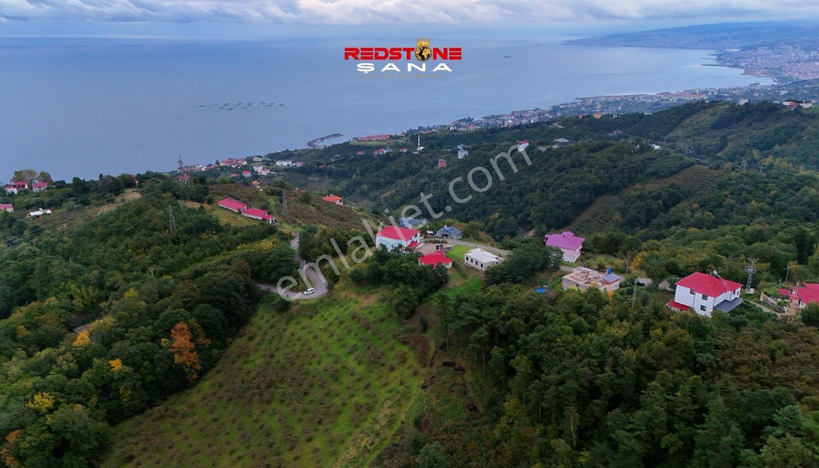 Akçaabat Yeniköy Yola Cepheli 2856 M2 Deniz Ve Doğa Manz. Arsa — fotoğraf 7