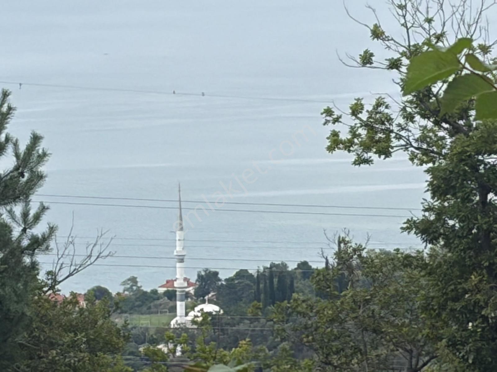 Akçaabat Yeniköy Yola Cepheli 2856 M2 Deniz Ve Doğa Manz. Arsa — fotoğraf 14