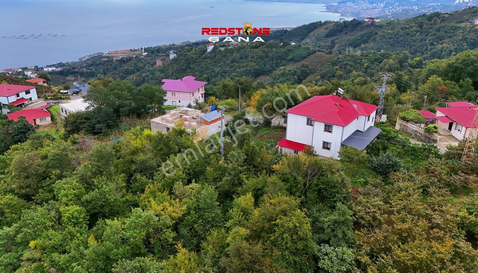 Akçaabat Yeniköy Yola Cepheli 2856 M2 Deniz Ve Doğa Manz. Arsa — fotoğraf 21