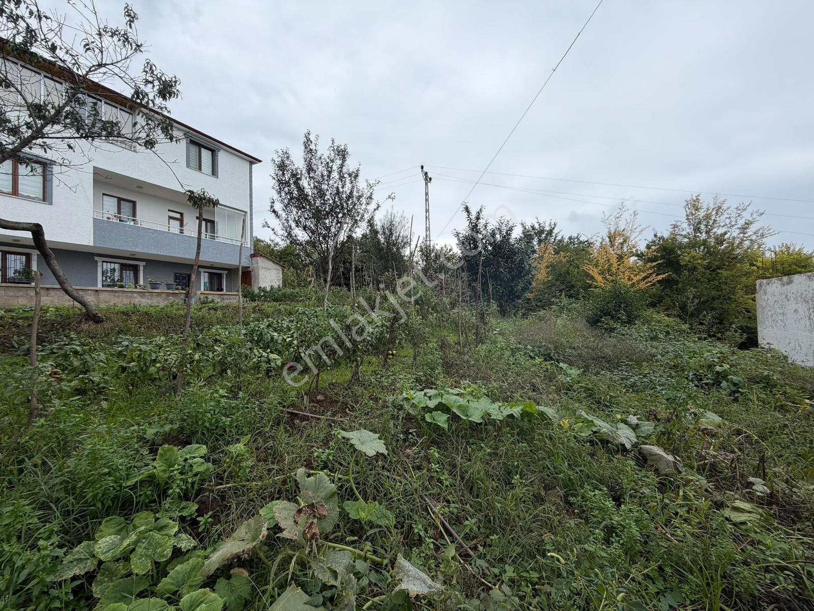 Akçaabat Yeniköy Yola Cepheli 2856 M2 Deniz Ve Doğa Manz. Arsa — fotoğraf 26