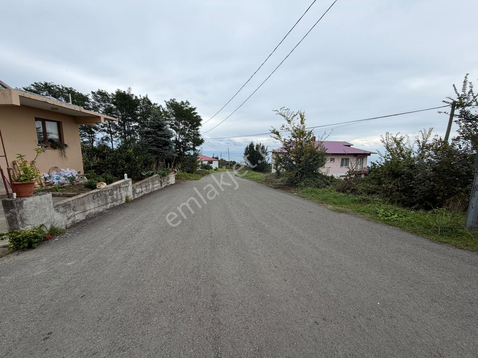 Akçaabat Yeniköy Yola Cepheli 2856 M2 Deniz Ve Doğa Manz. Arsa — fotoğraf 31