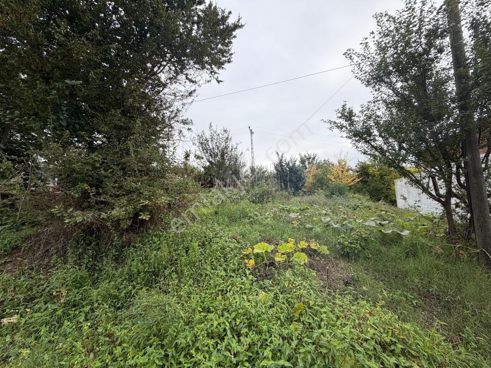 Akçaabat Yeniköy Yola Cepheli 2856 M2 Deniz Ve Doğa Manz. Arsa — fotoğraf 32