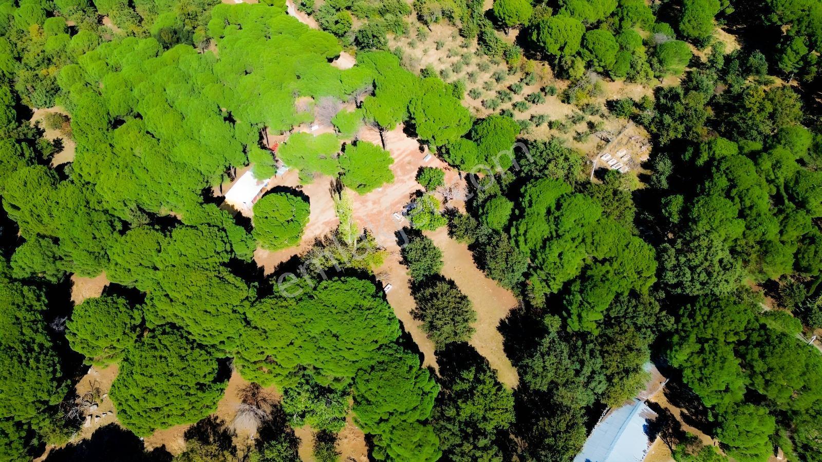 Bergama Kozak Yaylası Kıranlı Mah.'de 1.970m2 Satılık Tarla — fotoğraf 9