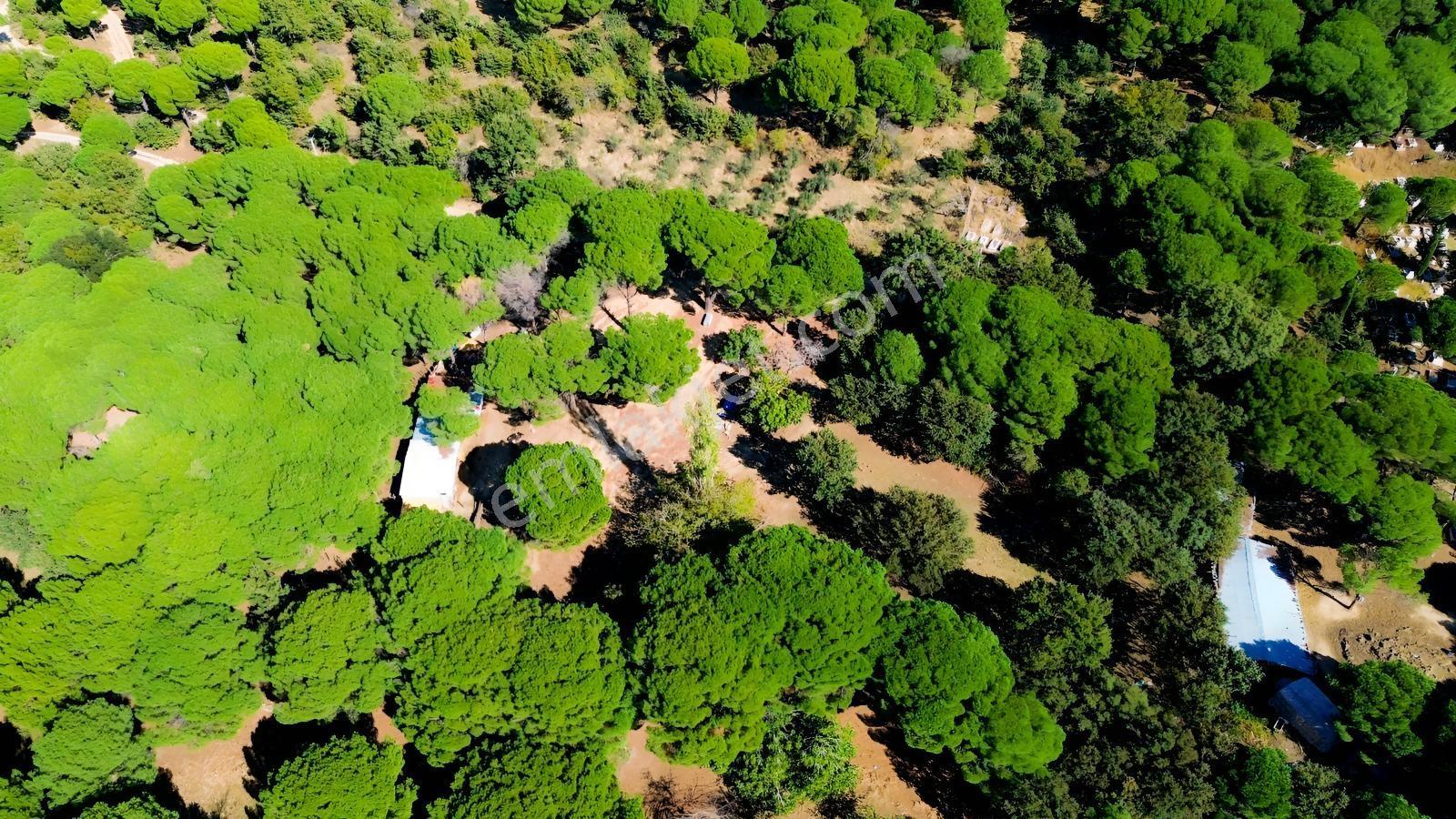 Bergama Kozak Yaylası Kıranlı Mah.'de 1.970m2 Satılık Tarla — fotoğraf 10