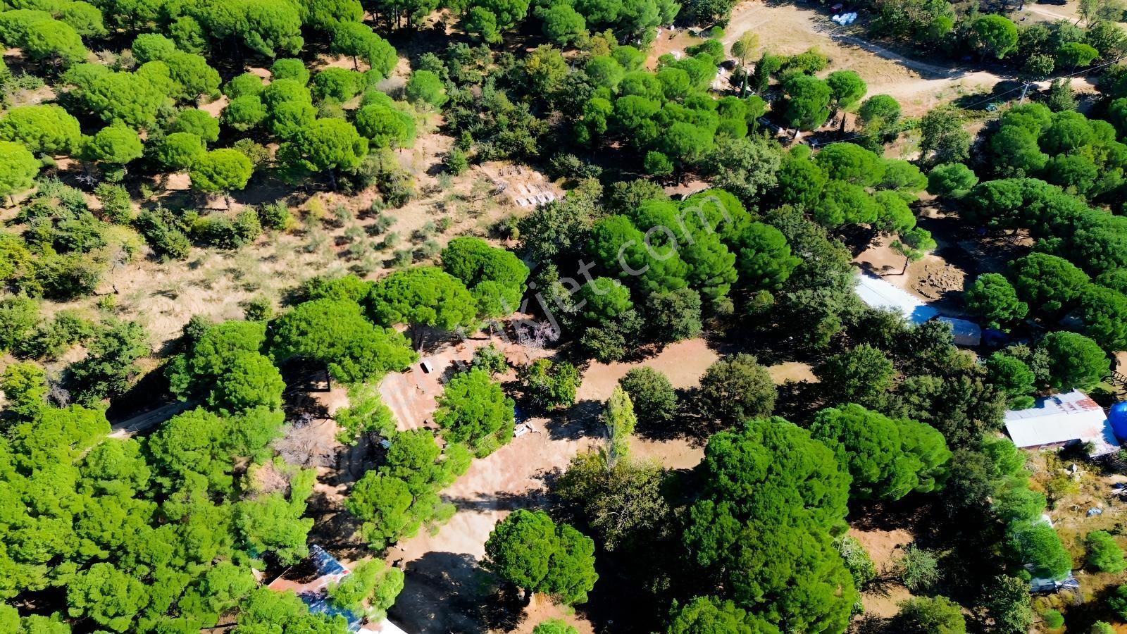 Bergama Kozak Yaylası Kıranlı Mah.'de 1.970m2 Satılık Tarla — fotoğraf 12
