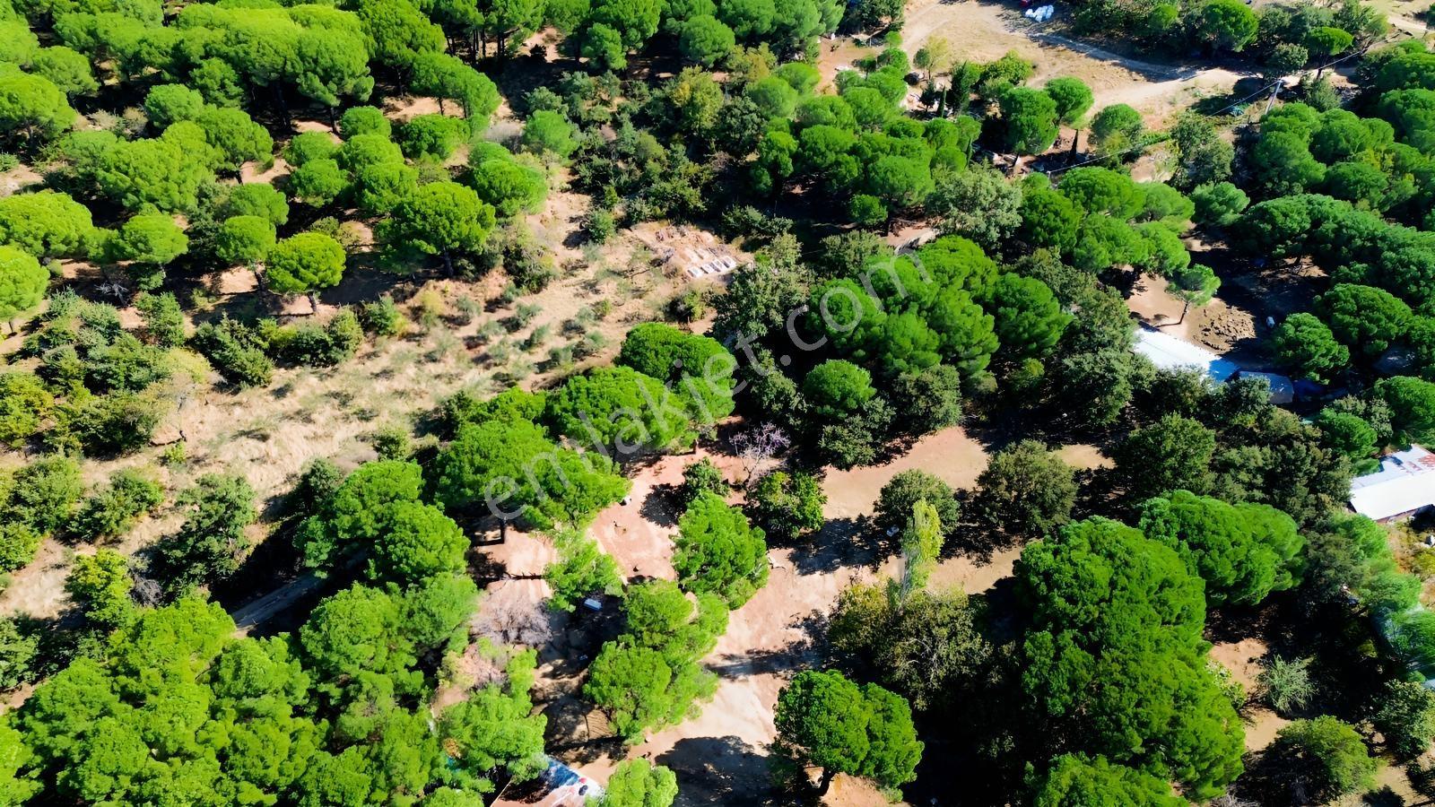 Bergama Kozak Yaylası Kıranlı Mah.'de 1.970m2 Satılık Tarla — fotoğraf 13