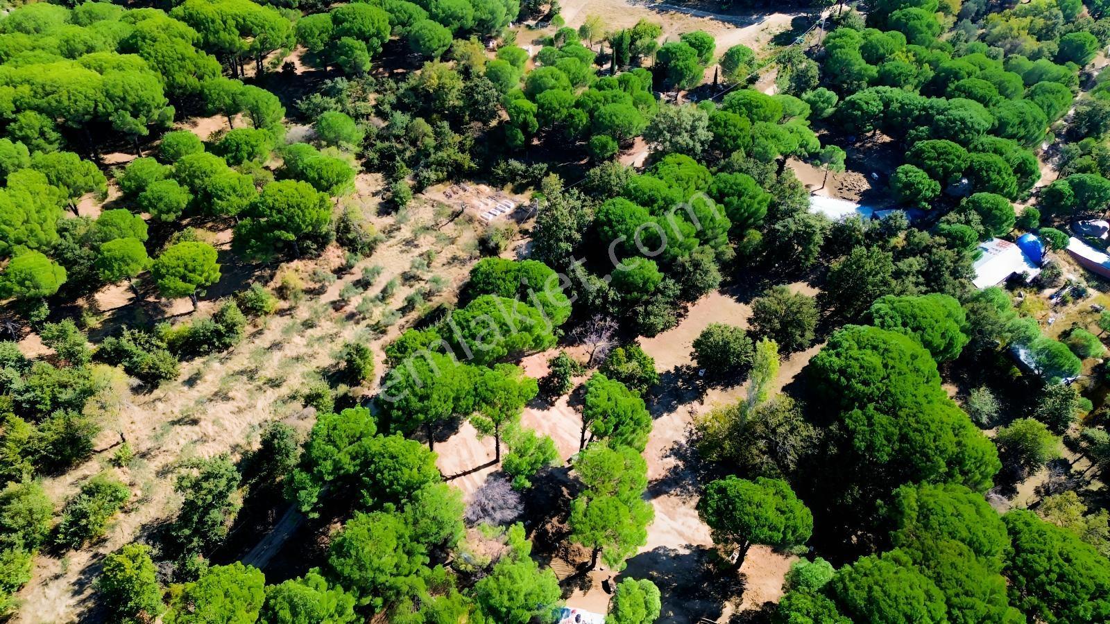 Bergama Kozak Yaylası Kıranlı Mah.'de 1.970m2 Satılık Tarla — fotoğraf 14