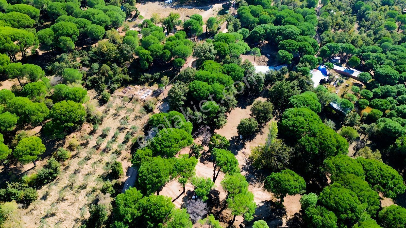 Bergama Kozak Yaylası Kıranlı Mah.'de 1.970m2 Satılık Tarla — fotoğraf 15