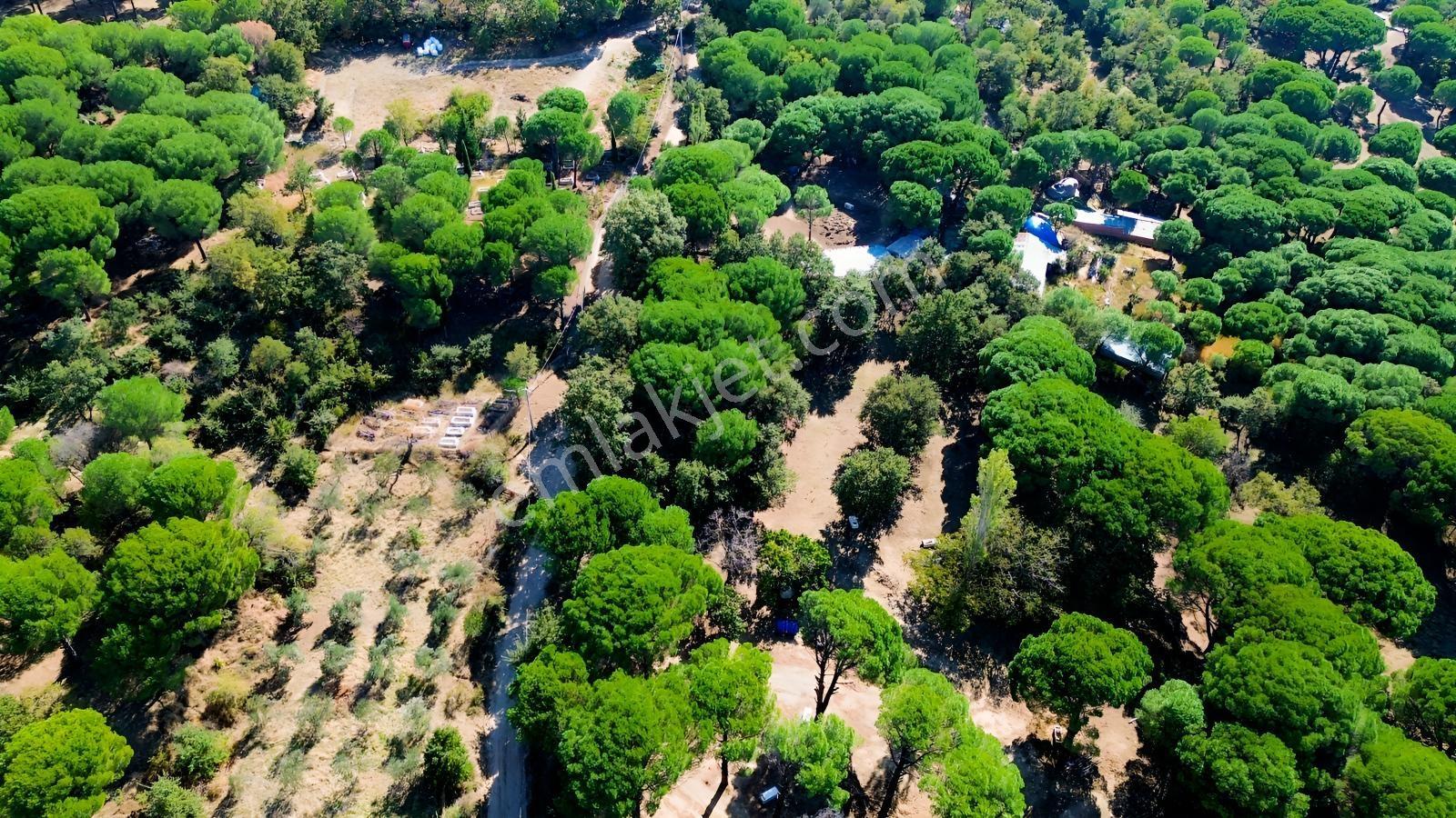 Bergama Kozak Yaylası Kıranlı Mah.'de 1.970m2 Satılık Tarla — fotoğraf 16