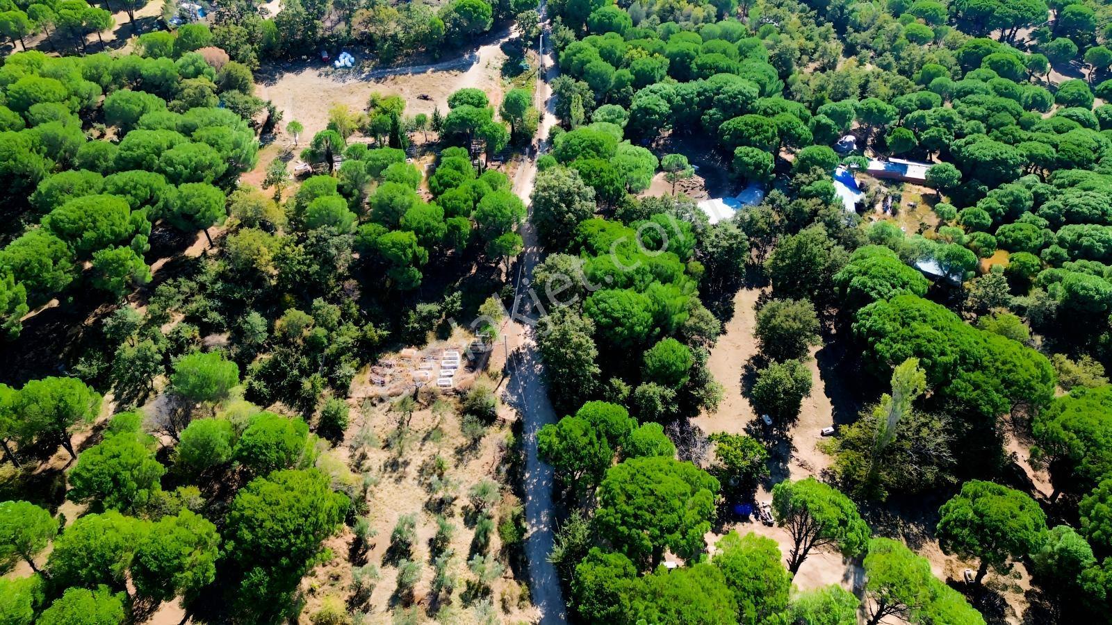 Bergama Kozak Yaylası Kıranlı Mah.'de 1.970m2 Satılık Tarla — fotoğraf 17