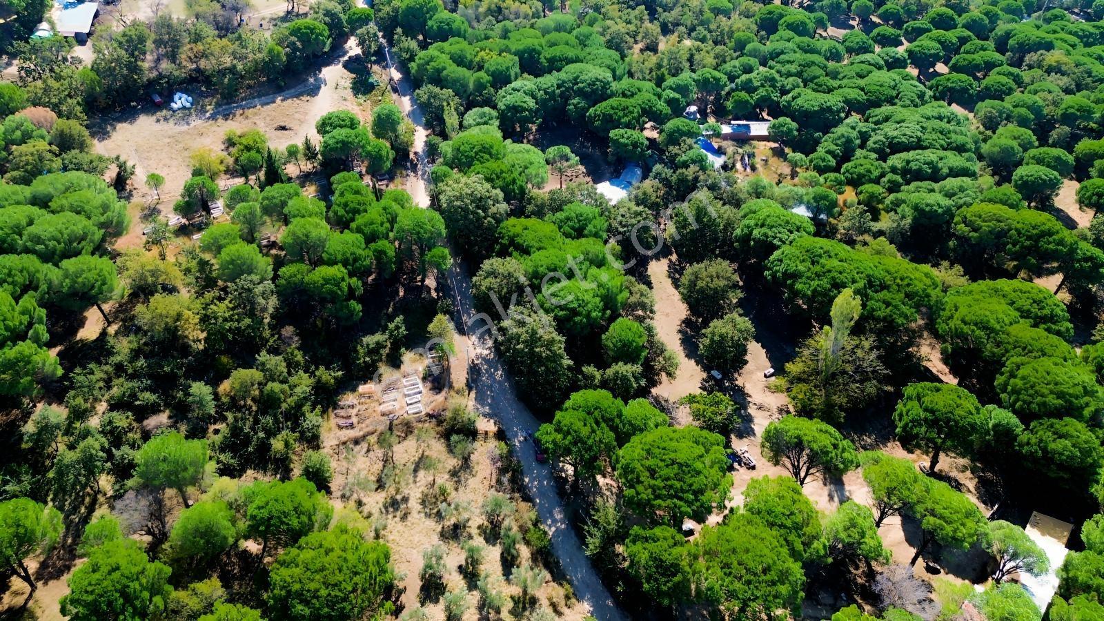 Bergama Kozak Yaylası Kıranlı Mah.'de 1.970m2 Satılık Tarla — fotoğraf 18
