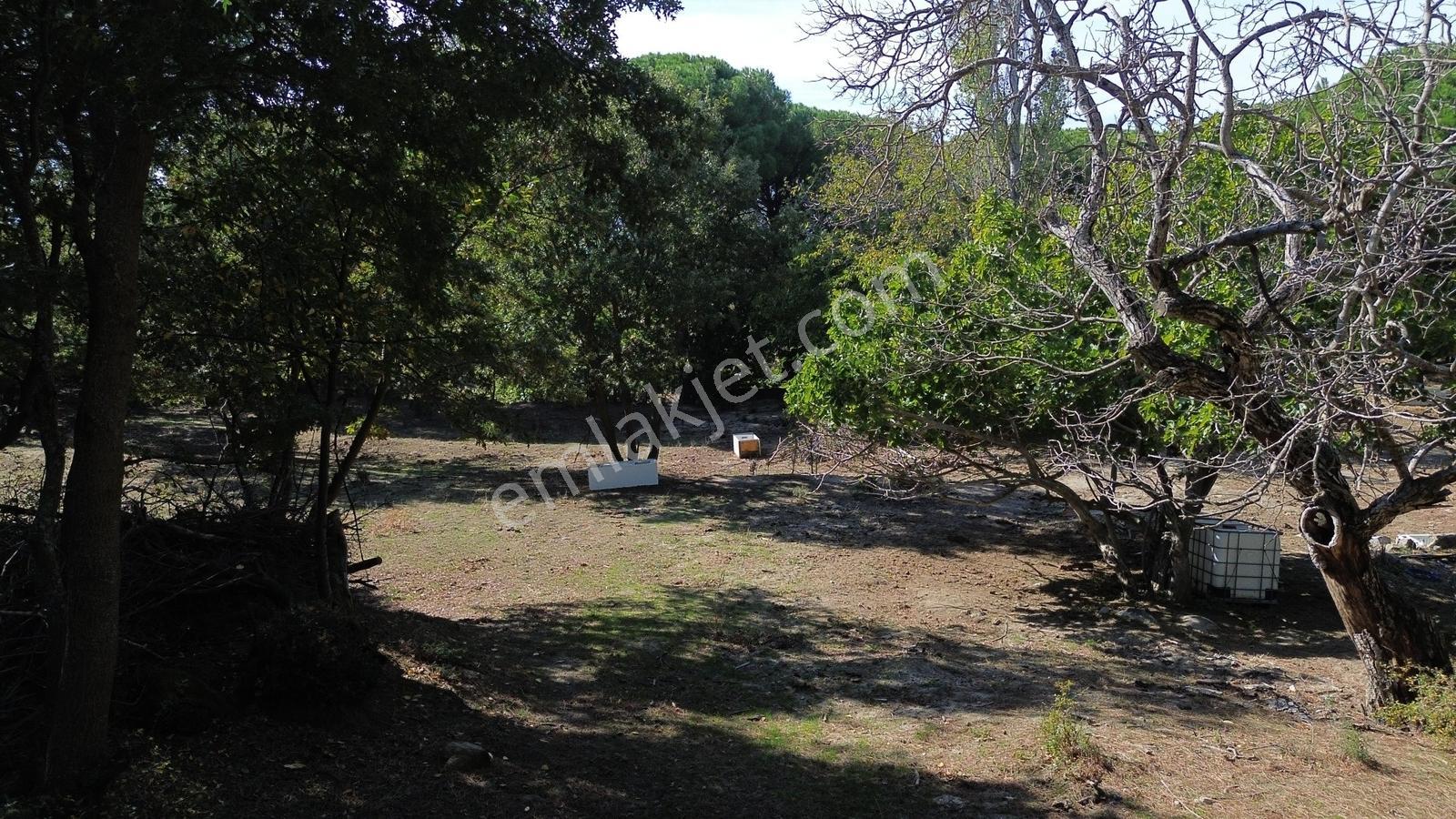 Bergama Kozak Yaylası Kıranlı Mah.'de 1.970m2 Satılık Tarla — fotoğraf 24