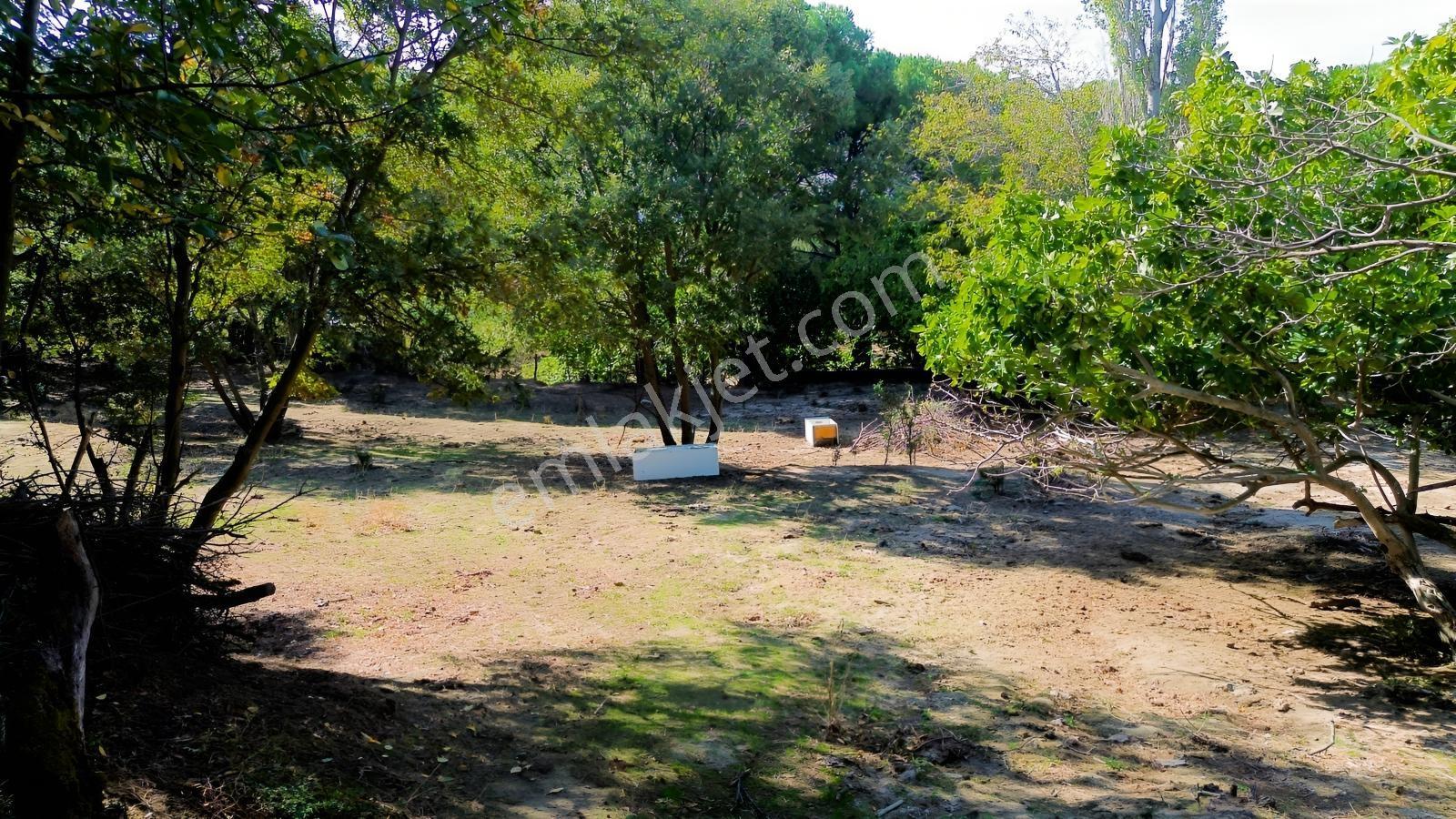 Bergama Kozak Yaylası Kıranlı Mah.'de 1.970m2 Satılık Tarla — fotoğraf 25