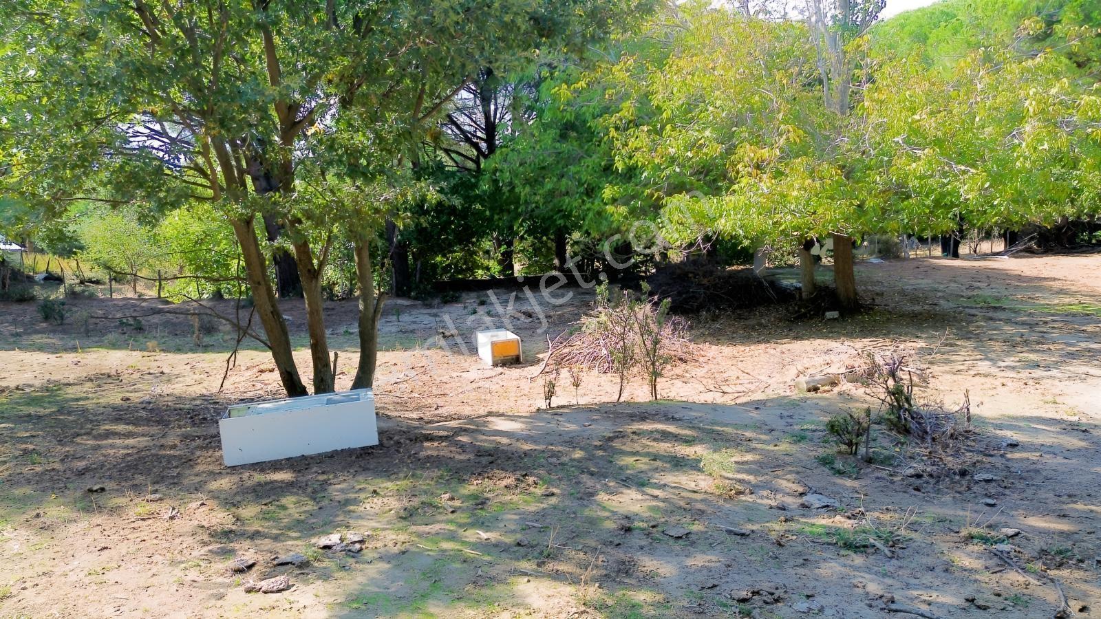 Bergama Kozak Yaylası Kıranlı Mah.'de 1.970m2 Satılık Tarla — fotoğraf 26
