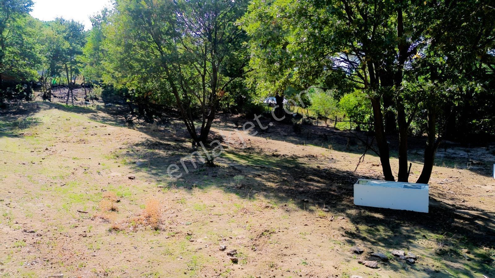 Bergama Kozak Yaylası Kıranlı Mah.'de 1.970m2 Satılık Tarla — fotoğraf 28