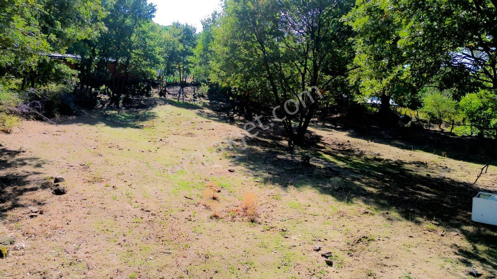 Bergama Kozak Yaylası Kıranlı Mah.'de 1.970m2 Satılık Tarla — fotoğraf 29