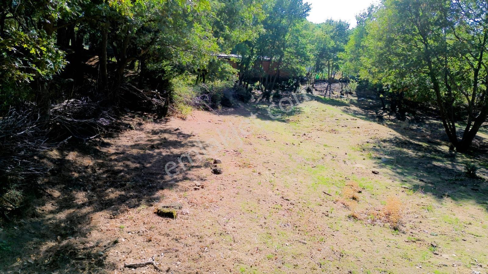 Bergama Kozak Yaylası Kıranlı Mah.'de 1.970m2 Satılık Tarla — fotoğraf 30
