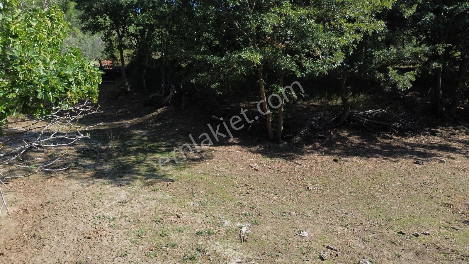 Bergama Kozak Yaylası Kıranlı Mah.'de 1.970m2 Satılık Tarla — fotoğraf 31