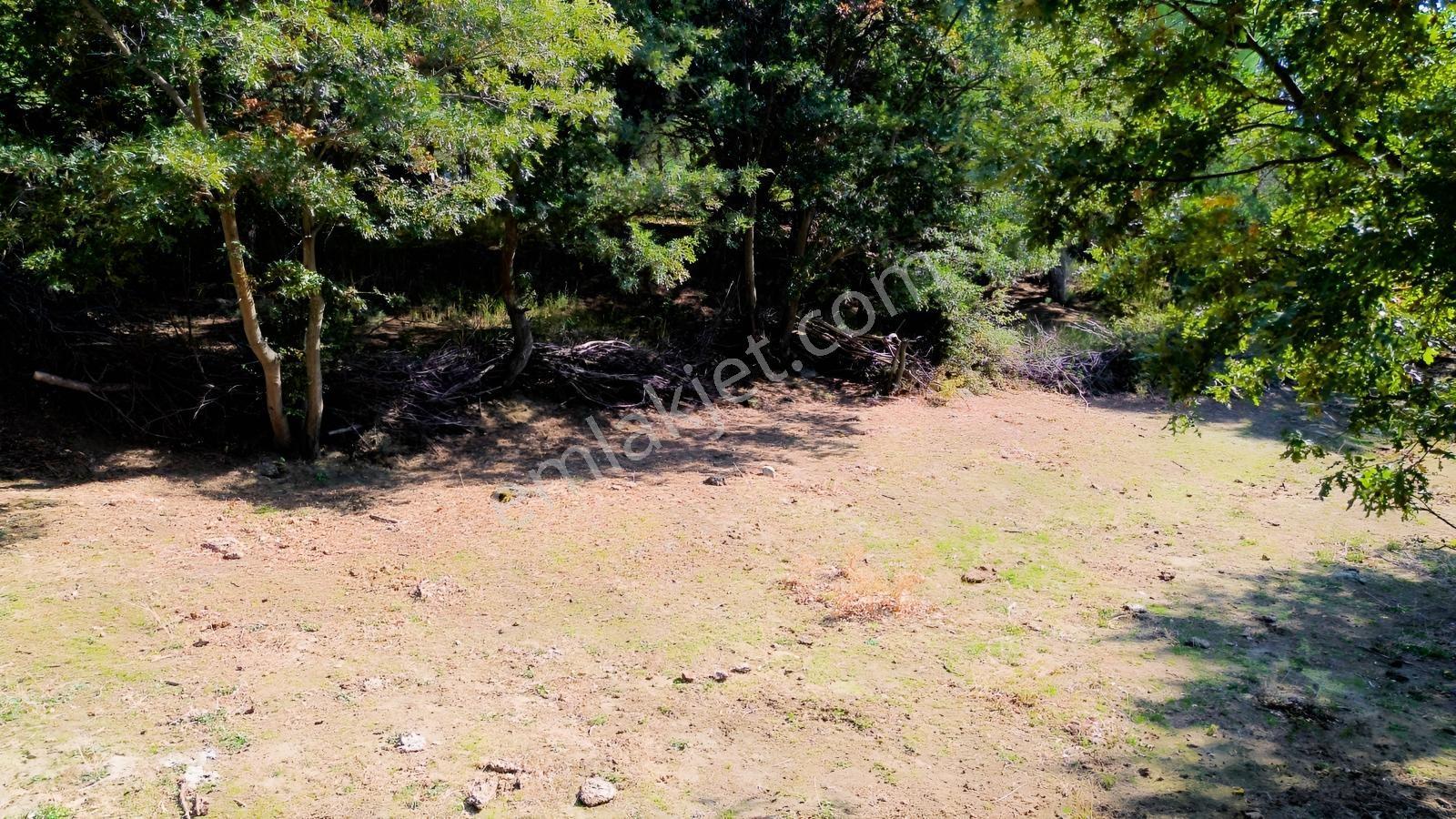 Bergama Kozak Yaylası Kıranlı Mah.'de 1.970m2 Satılık Tarla — fotoğraf 32