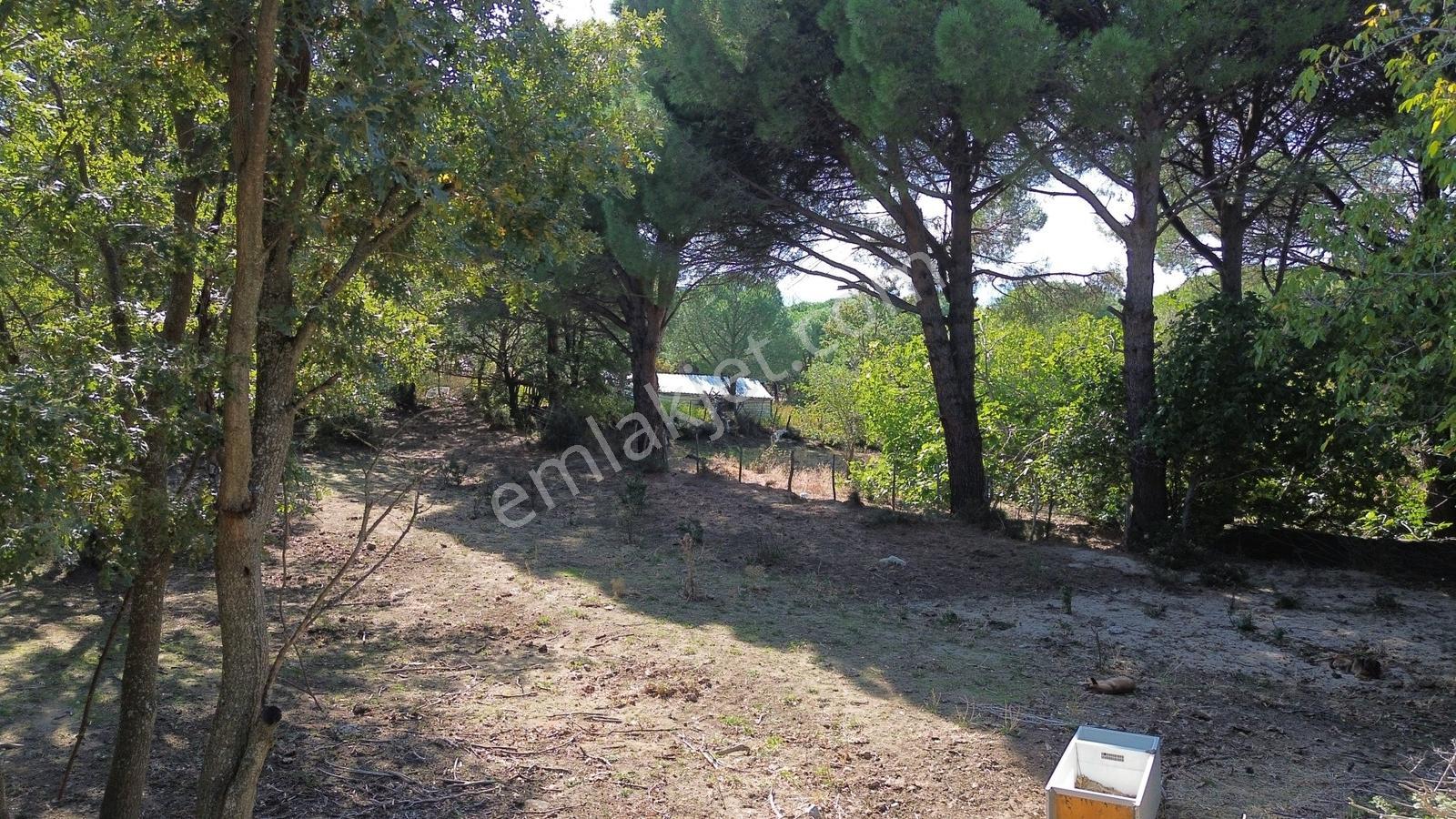 Bergama Kozak Yaylası Kıranlı Mah.'de 1.970m2 Satılık Tarla — fotoğraf 33
