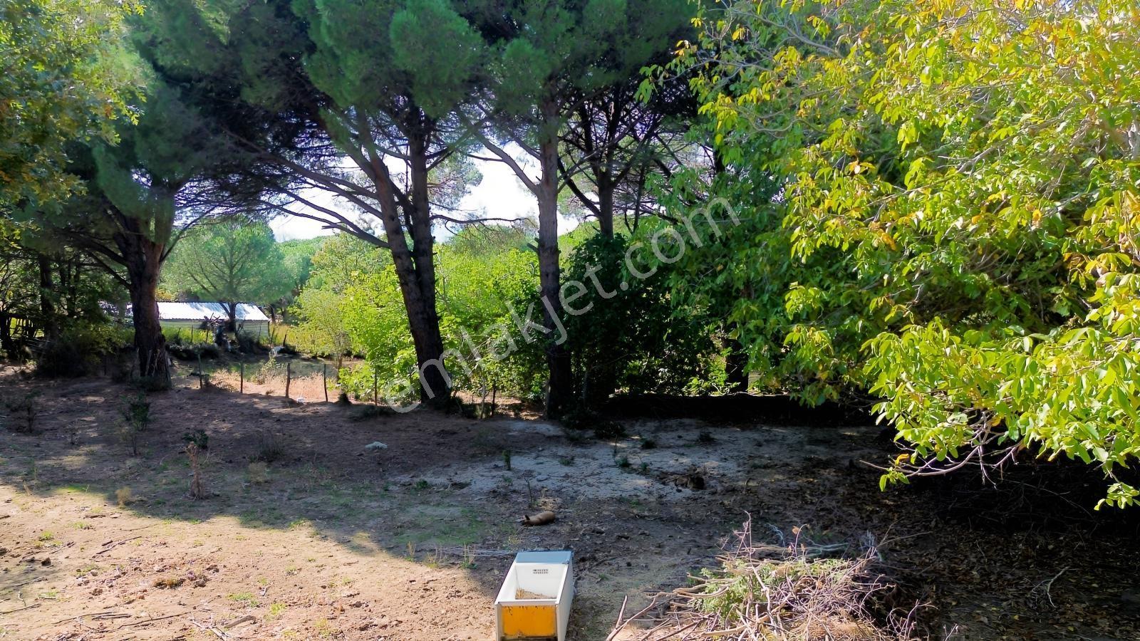 Bergama Kozak Yaylası Kıranlı Mah.'de 1.970m2 Satılık Tarla — fotoğraf 34