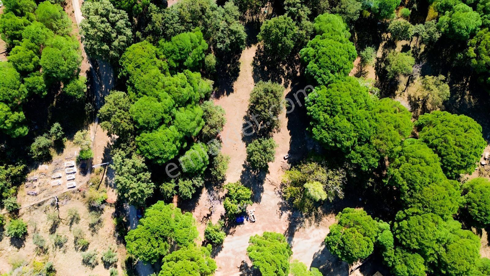Bergama Kozak Yaylası Kıranlı Mah.'de 1.970m2 Satılık Tarla — fotoğraf 35
