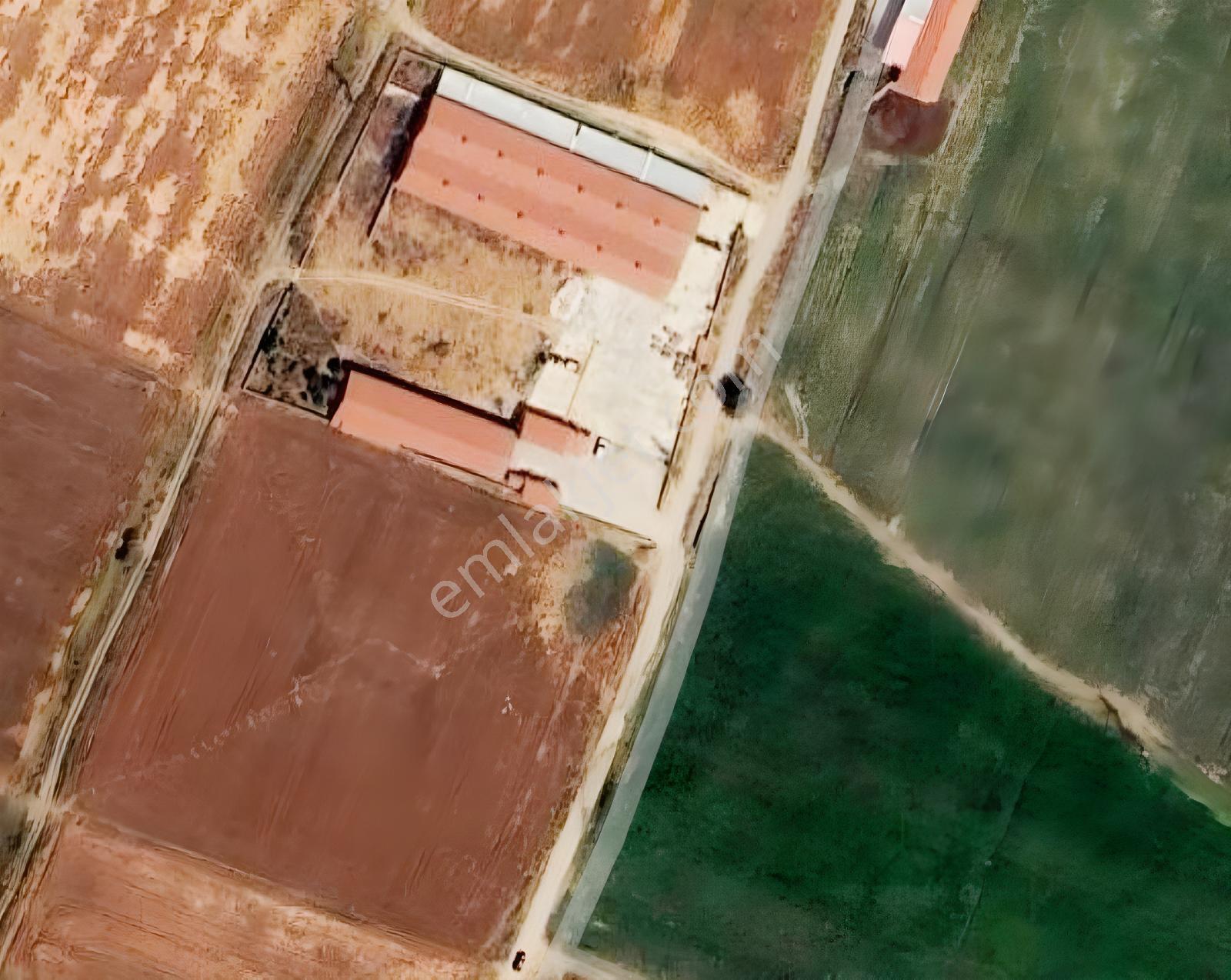 Şuhut Merkeze 3.5 Kmtam Teşekküllü Besi Çiftliği-tarım Arazisi — fotoğraf 6