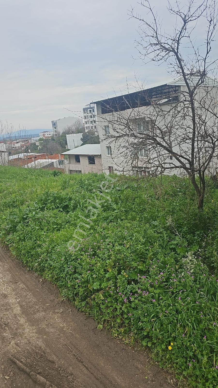 Bursa Karacabey Merkezde 4 Kat İmarlı Satılık Arsa — fotoğraf 17
