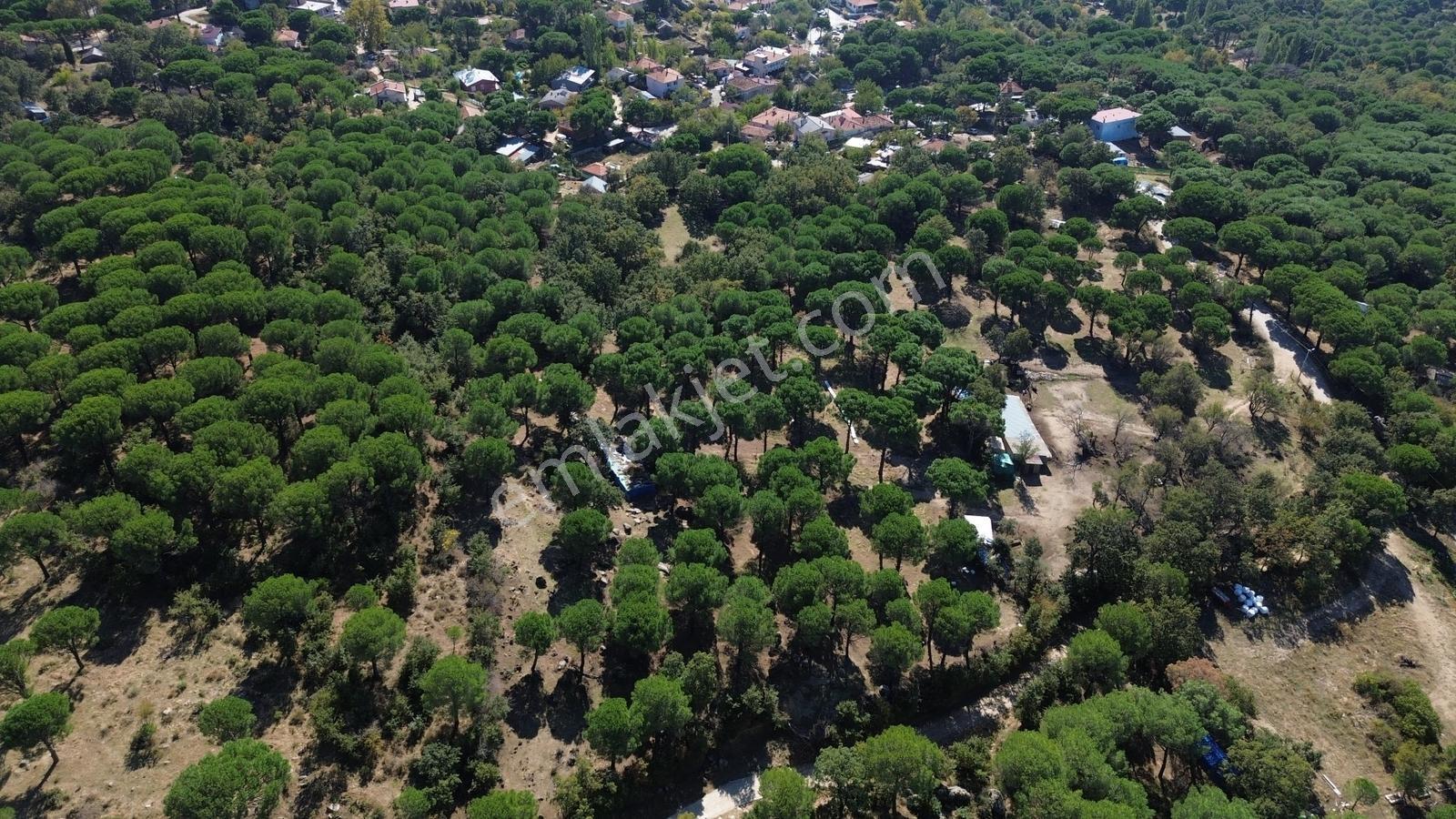 Bergama Kozak Yaylası Kıranlı Mah. Toplam 10.190M2 Satılık Tarla
