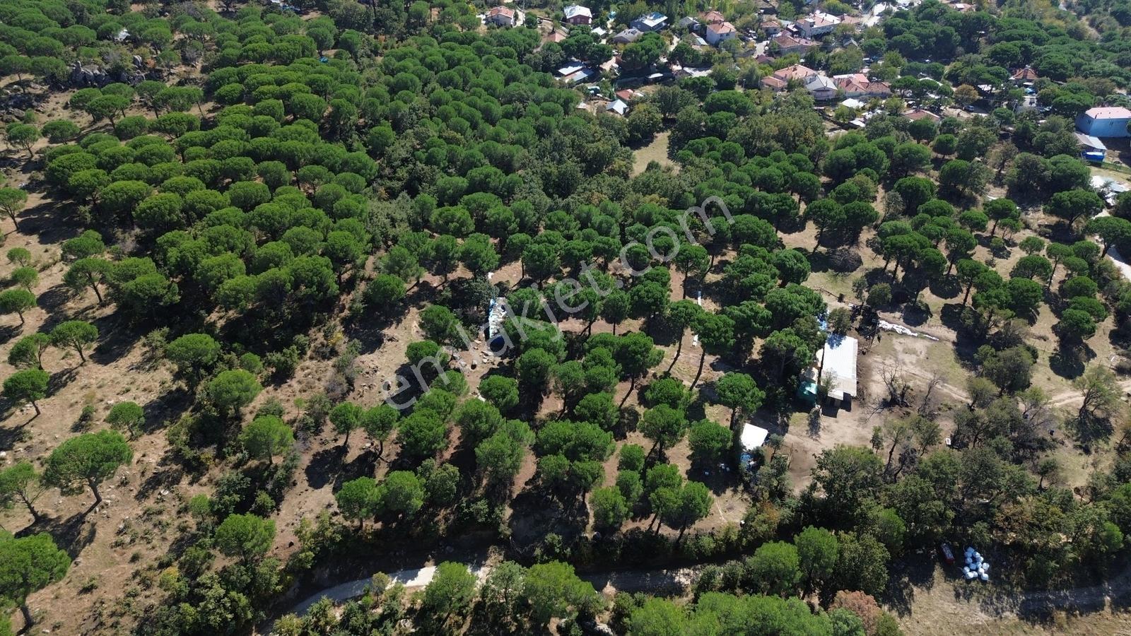Bergama Kozak Yaylası Kıranlı Mah. Toplam 10.190m2 Satılık Tarla — fotoğraf 2