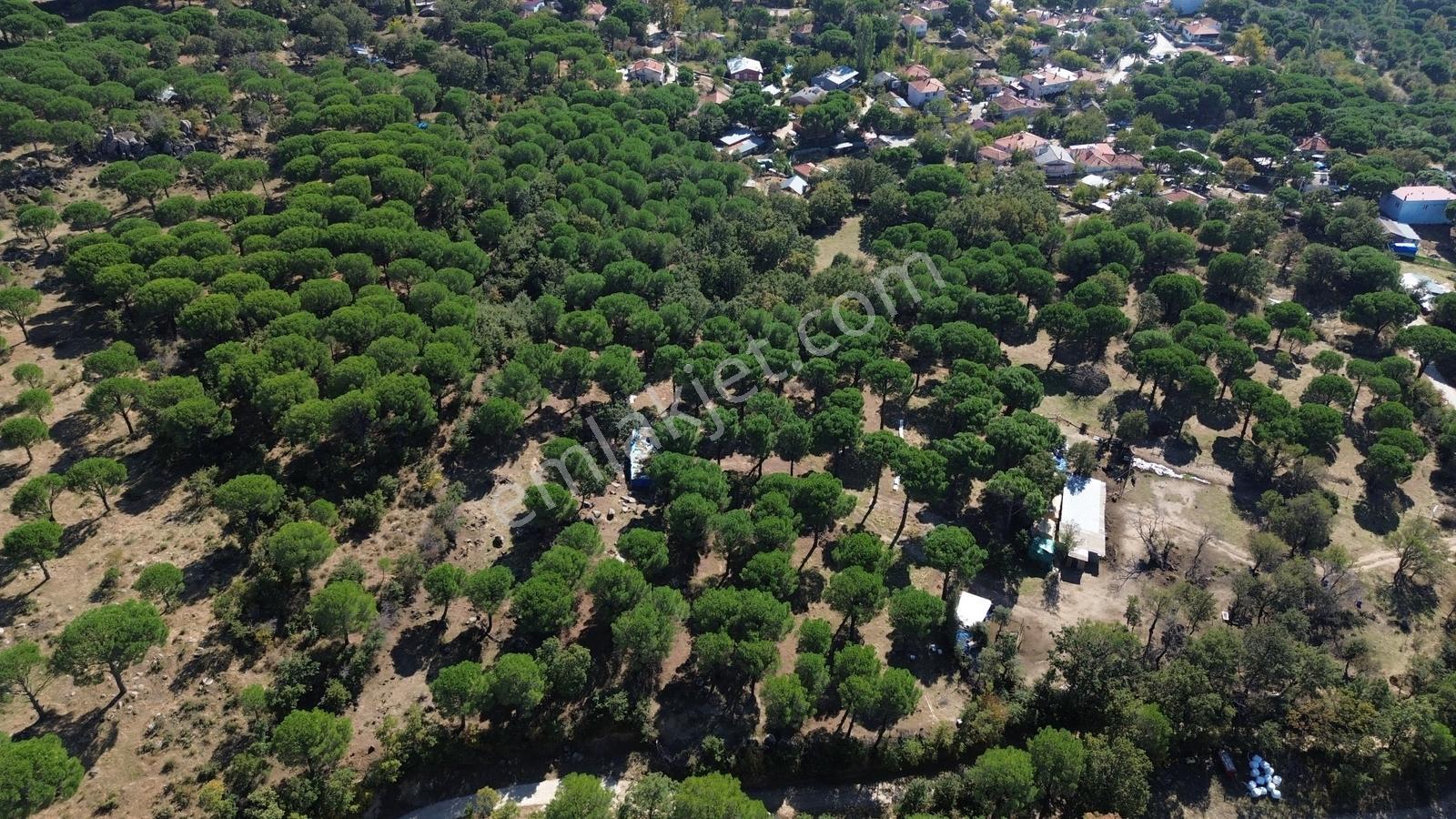 Bergama Kozak Yaylası Kıranlı Mah. Toplam 10.190m2 Satılık Tarla — fotoğraf 3