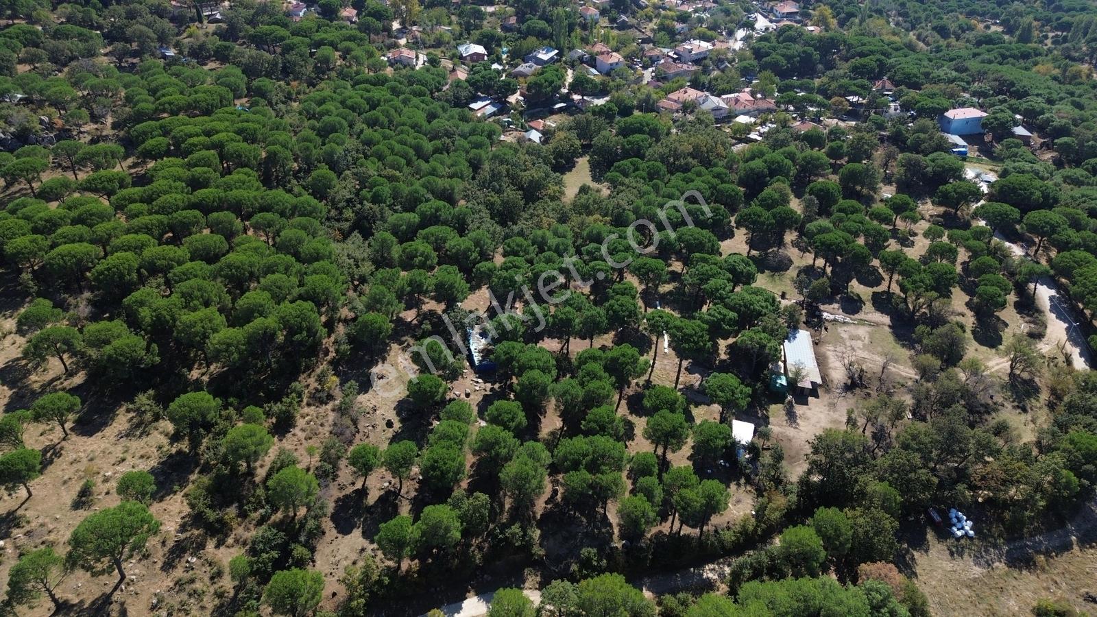 Bergama Kozak Yaylası Kıranlı Mah. Toplam 10.190m2 Satılık Tarla — fotoğraf 4