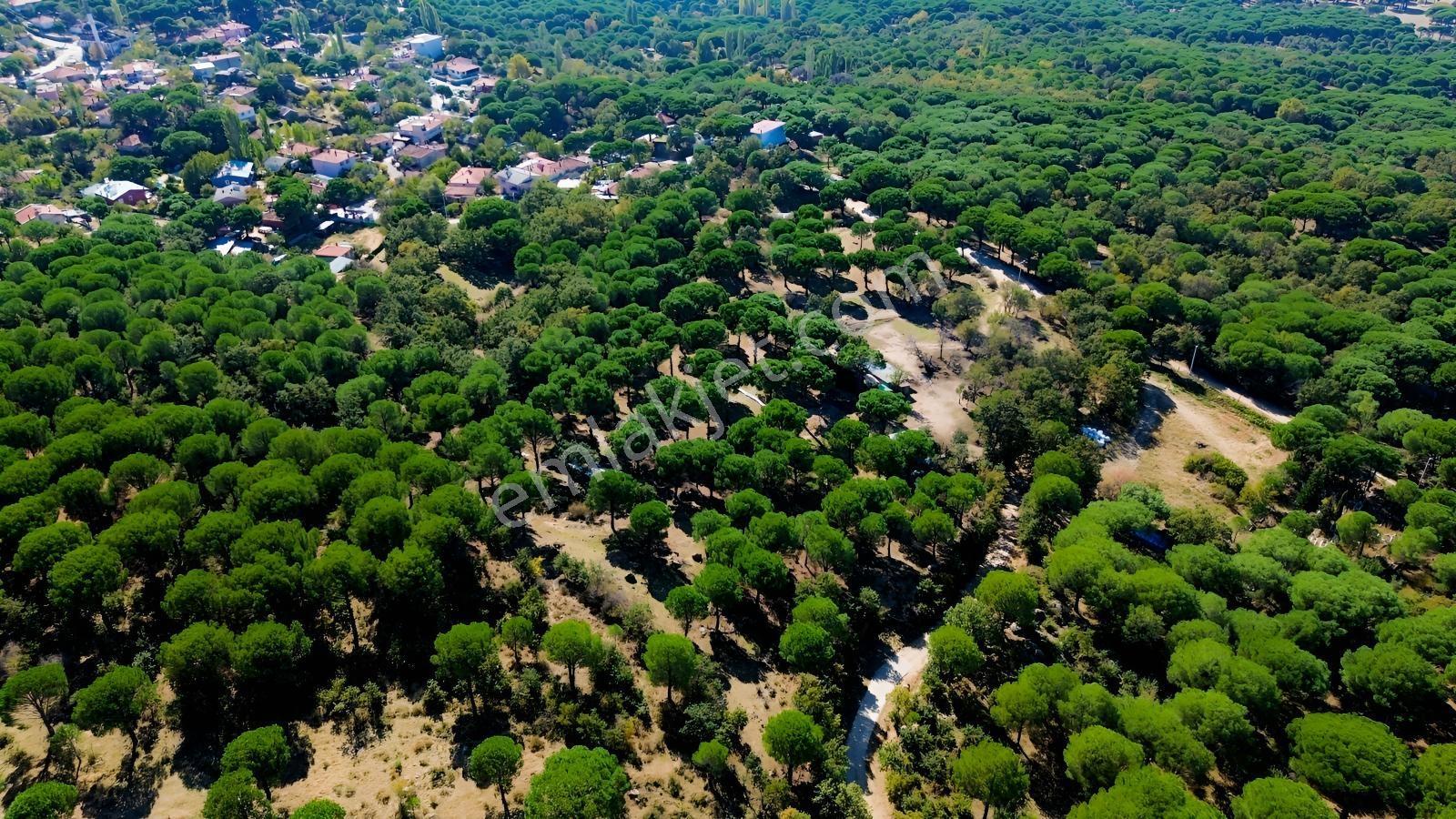 Bergama Kozak Yaylası Kıranlı Mah. Toplam 10.190m2 Satılık Tarla — fotoğraf 5