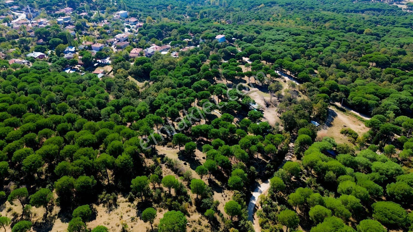 Bergama Kozak Yaylası Kıranlı Mah. Toplam 10.190m2 Satılık Tarla — fotoğraf 6