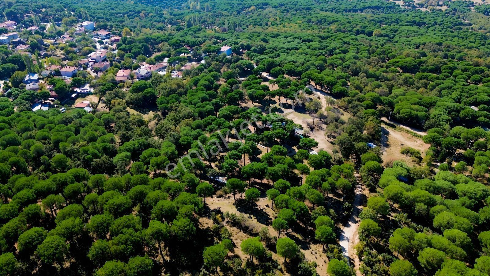 Bergama Kozak Yaylası Kıranlı Mah. Toplam 10.190m2 Satılık Tarla — fotoğraf 7