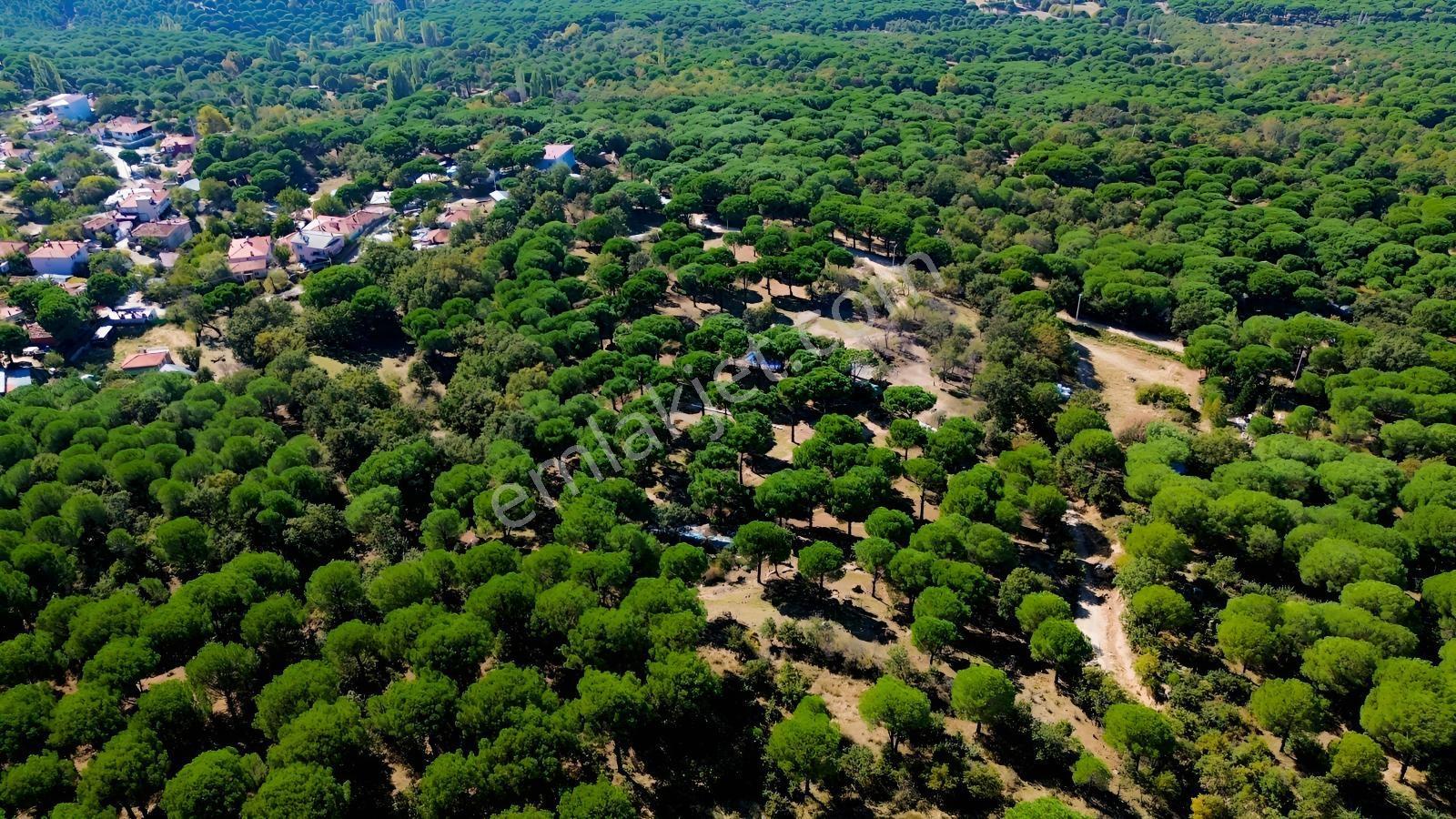 Bergama Kozak Yaylası Kıranlı Mah. Toplam 10.190m2 Satılık Tarla — fotoğraf 8