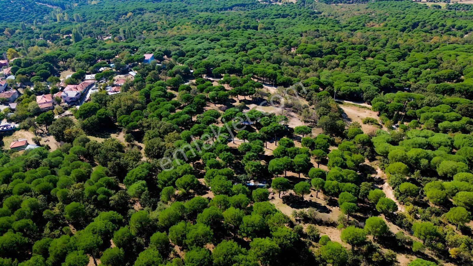 Bergama Kozak Yaylası Kıranlı Mah. Toplam 10.190m2 Satılık Tarla — fotoğraf 9