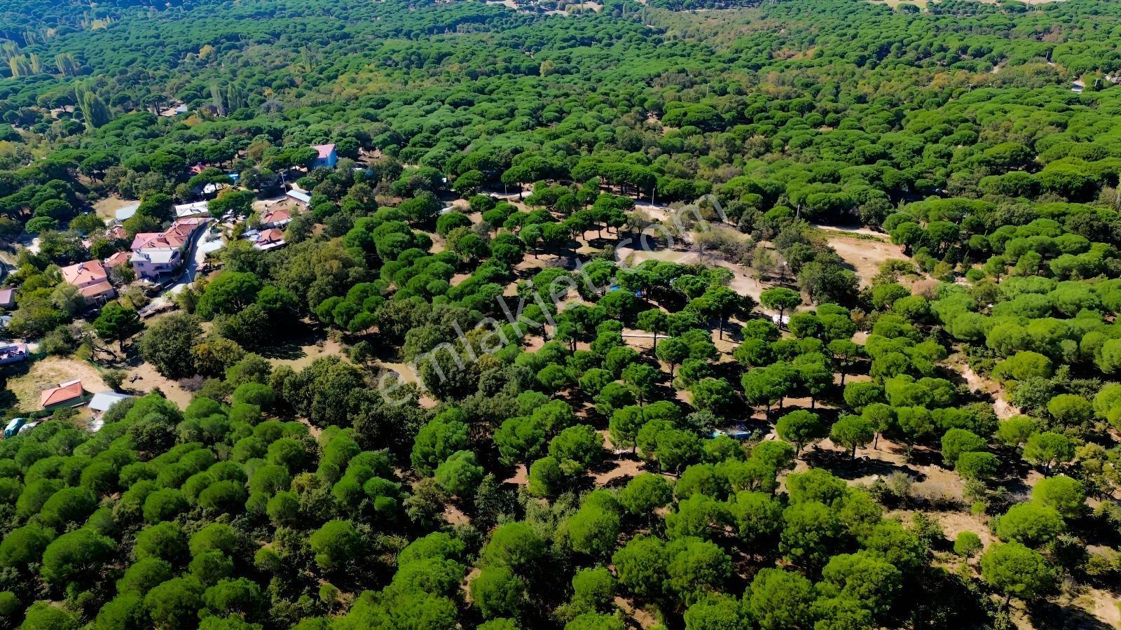 Bergama Kozak Yaylası Kıranlı Mah. Toplam 10.190m2 Satılık Tarla — fotoğraf 10