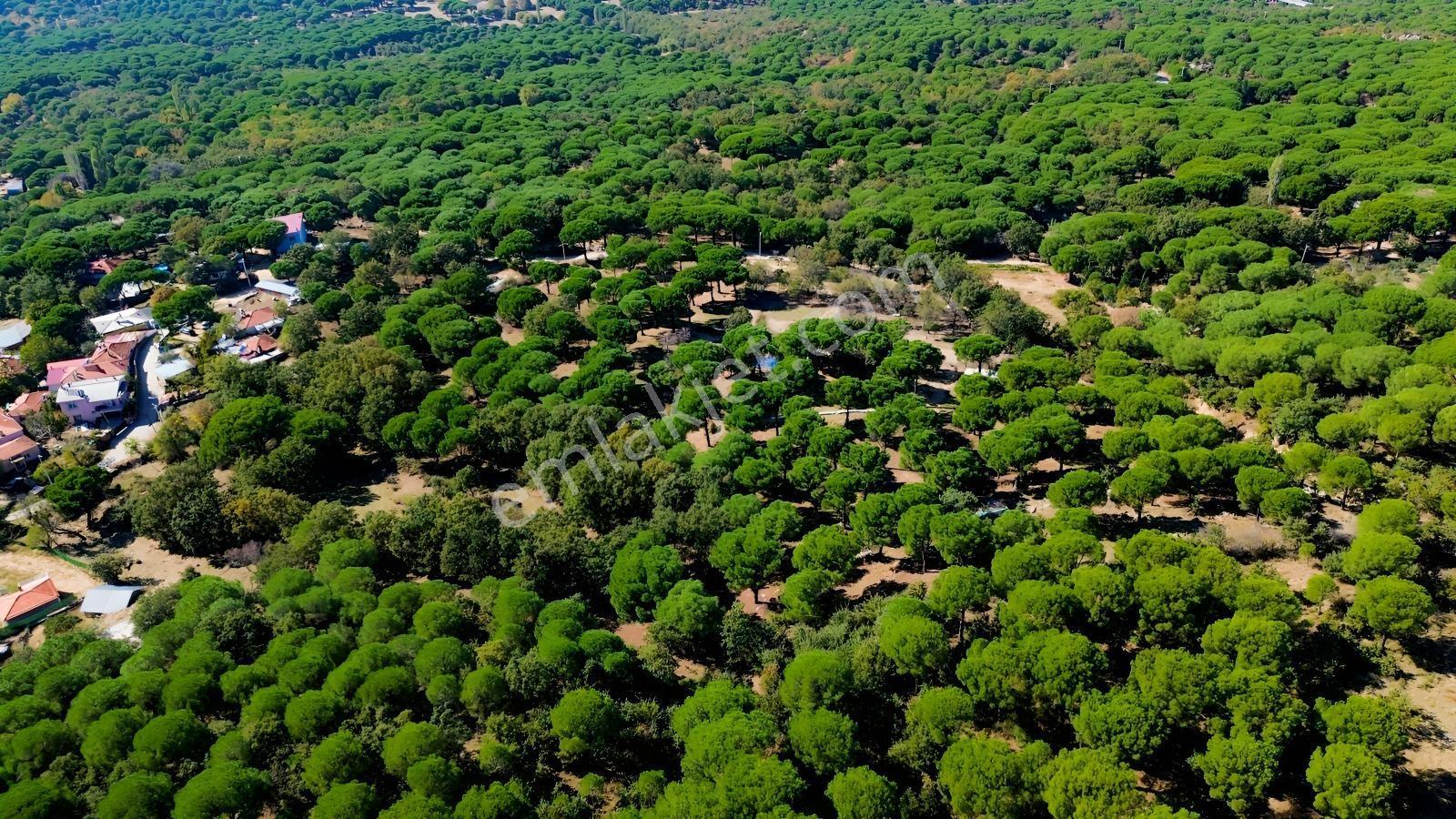 Bergama Kozak Yaylası Kıranlı Mah. Toplam 10.190m2 Satılık Tarla — fotoğraf 11