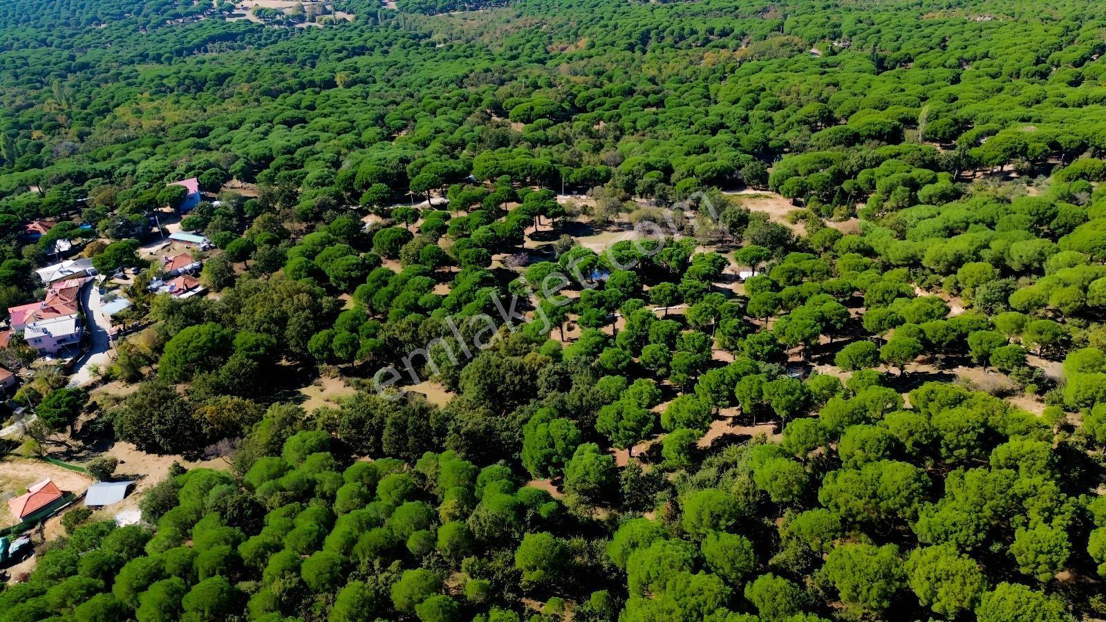 Bergama Kozak Yaylası Kıranlı Mah. Toplam 10.190m2 Satılık Tarla — fotoğraf 12