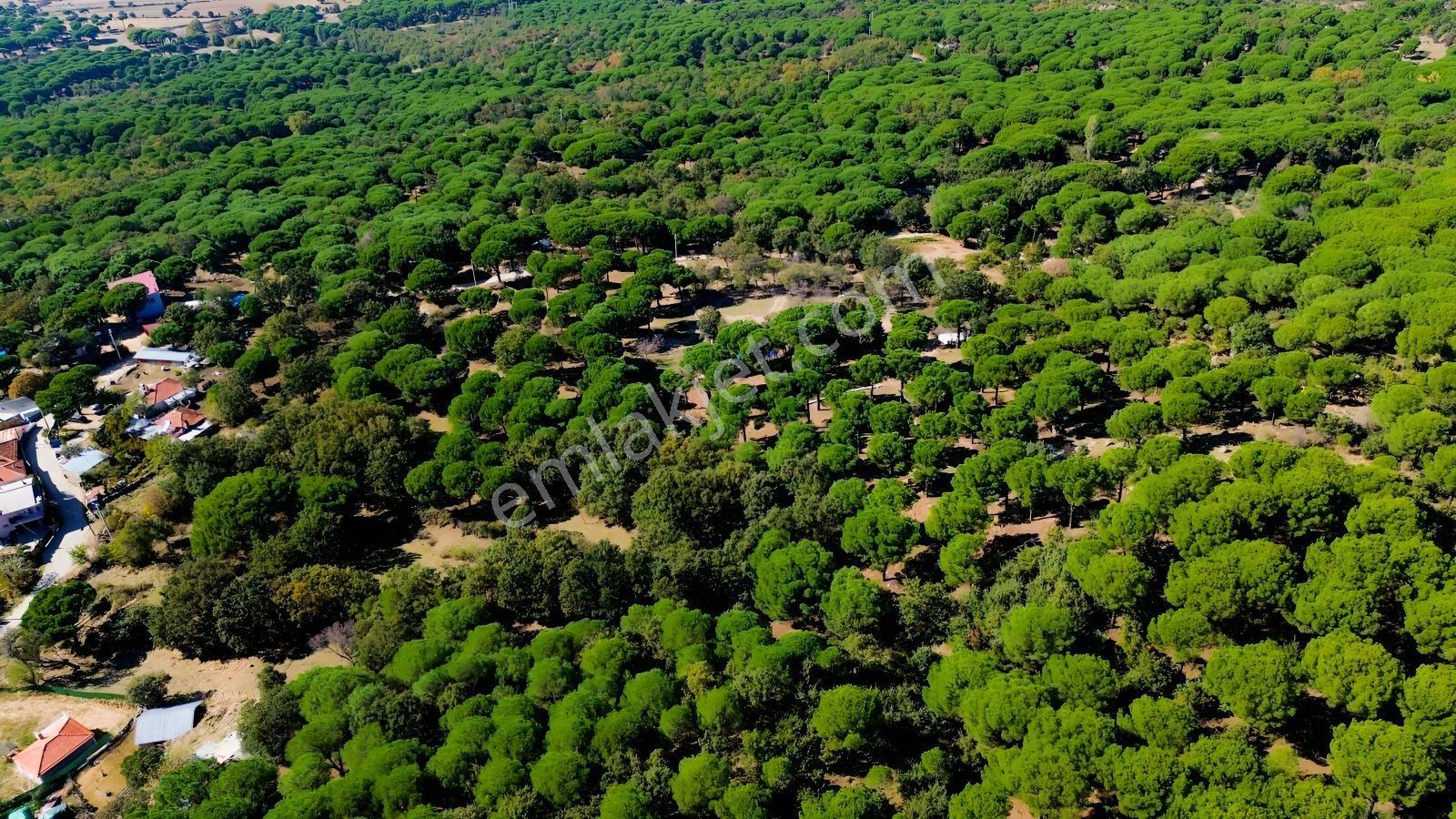 Bergama Kozak Yaylası Kıranlı Mah. Toplam 10.190m2 Satılık Tarla — fotoğraf 13