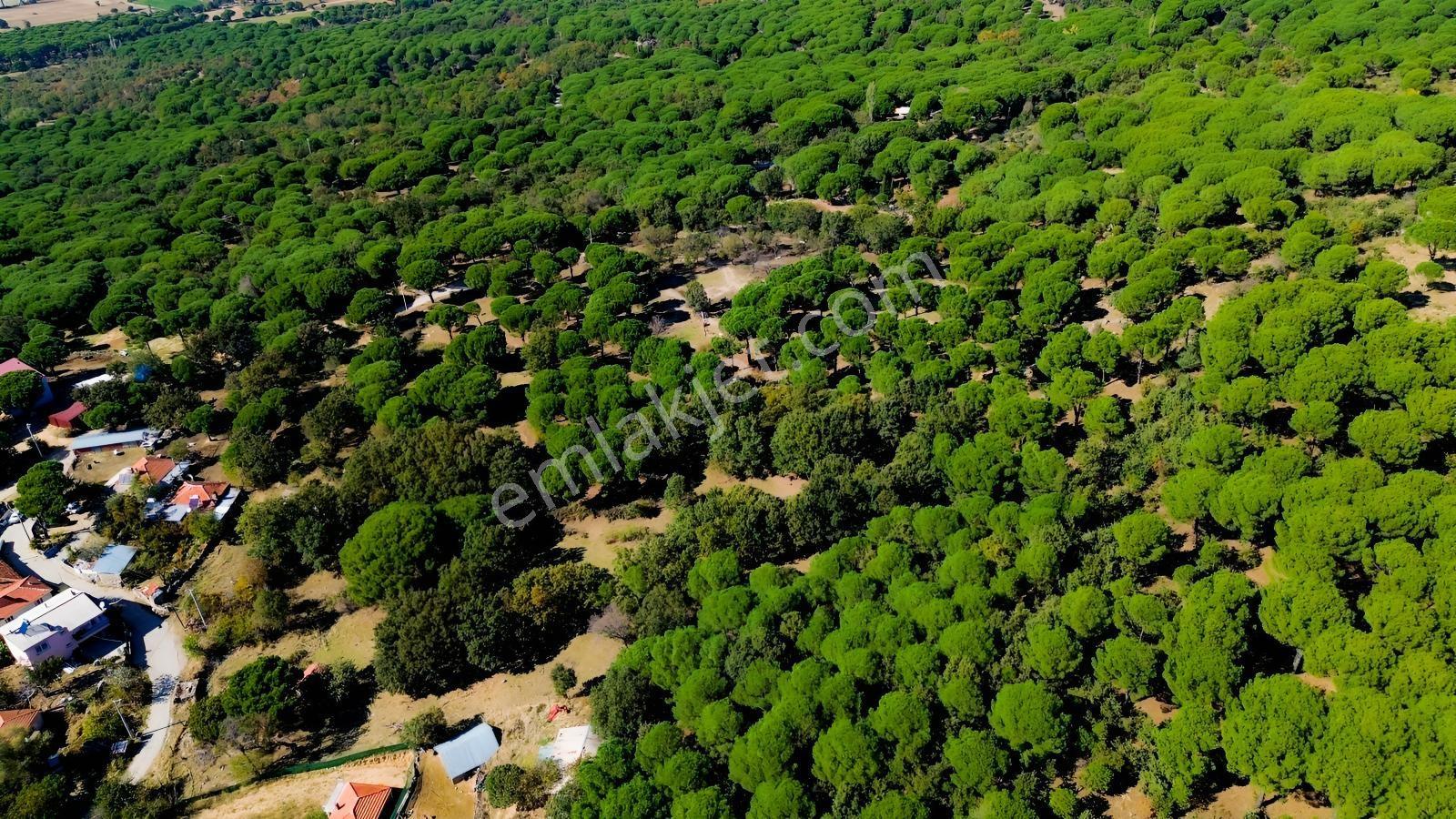 Bergama Kozak Yaylası Kıranlı Mah. Toplam 10.190m2 Satılık Tarla — fotoğraf 14