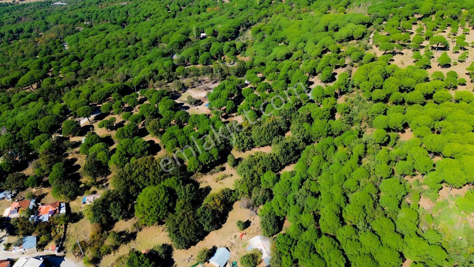 Bergama Kozak Yaylası Kıranlı Mah. Toplam 10.190m2 Satılık Tarla — fotoğraf 15