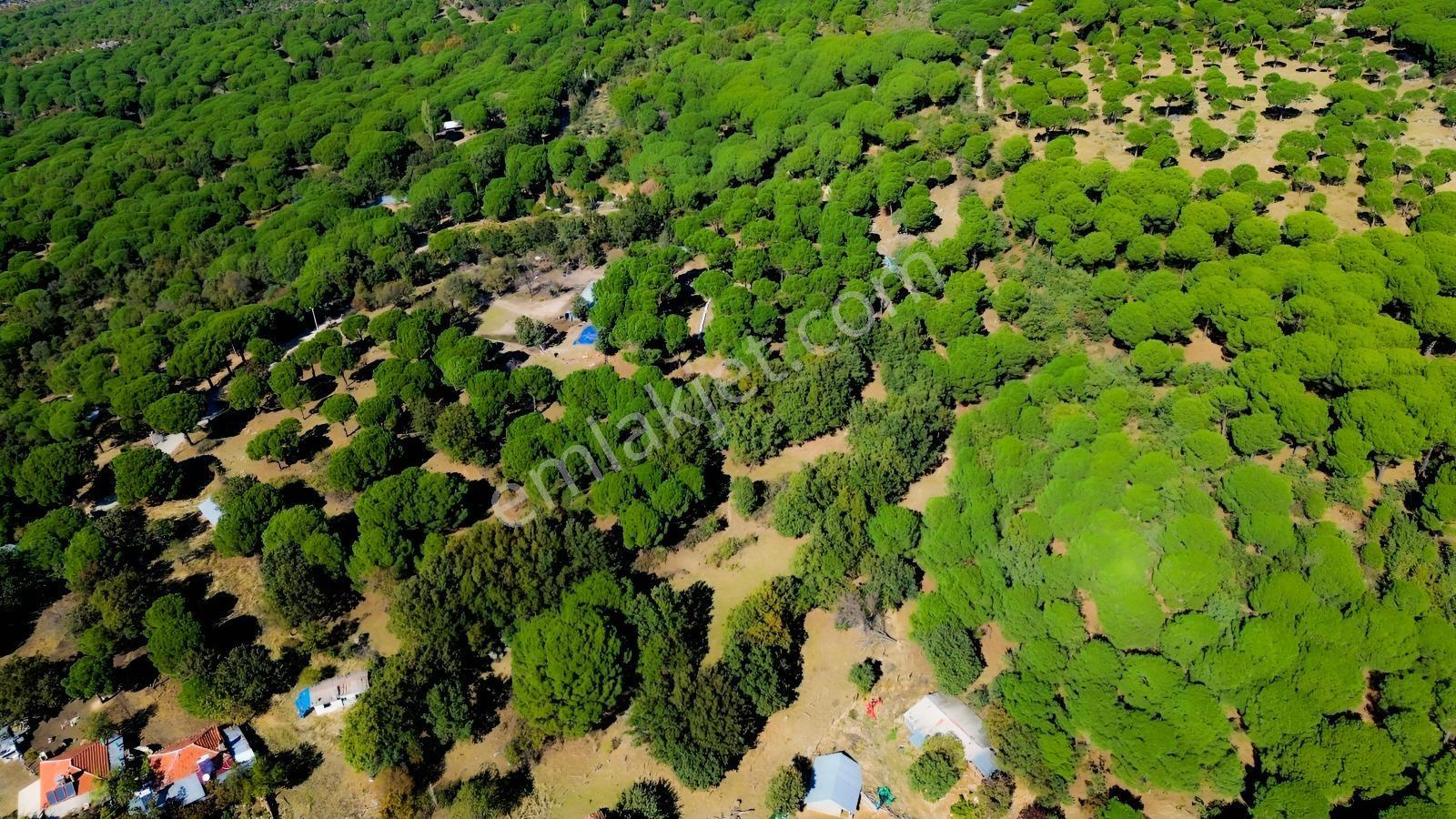 Bergama Kozak Yaylası Kıranlı Mah. Toplam 10.190m2 Satılık Tarla — fotoğraf 16
