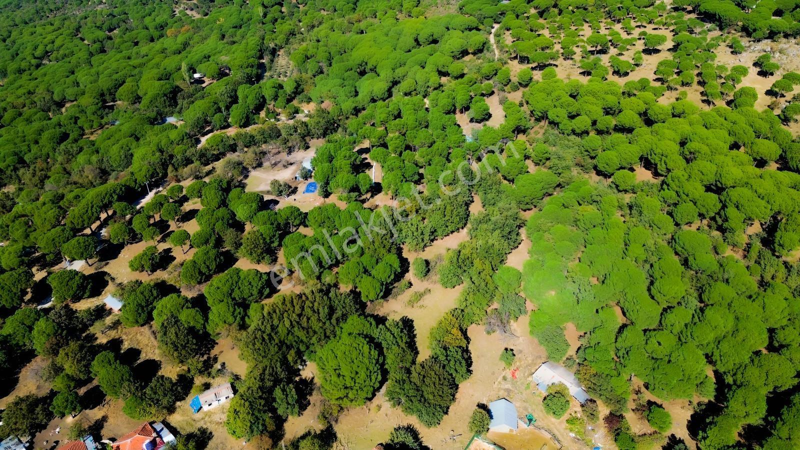 Bergama Kozak Yaylası Kıranlı Mah. Toplam 10.190m2 Satılık Tarla — fotoğraf 17