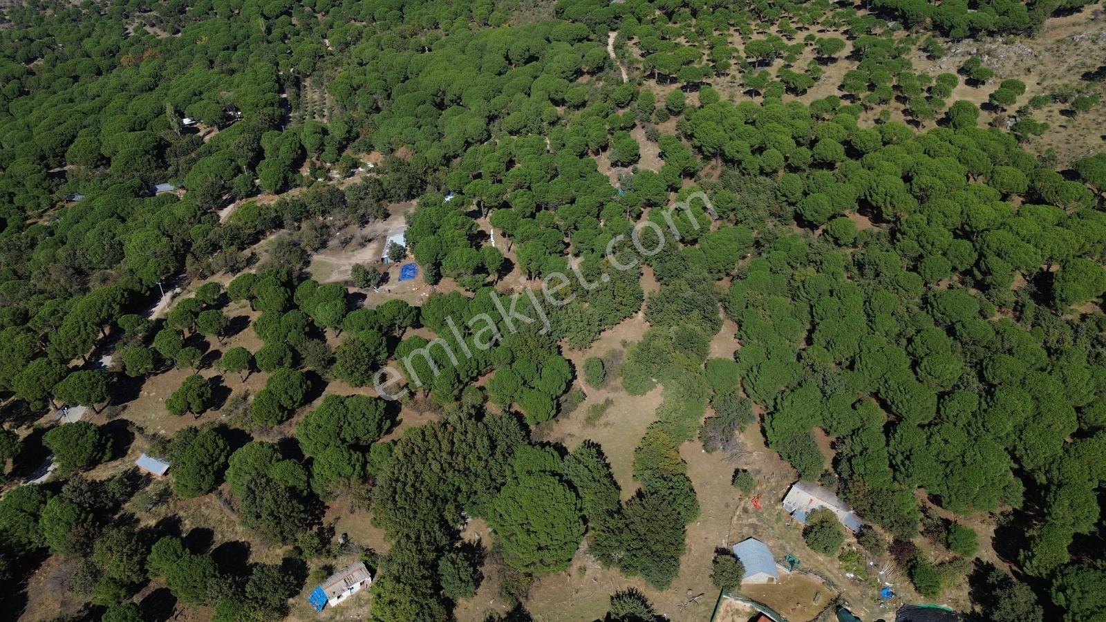 Bergama Kozak Yaylası Kıranlı Mah. Toplam 10.190m2 Satılık Tarla — fotoğraf 18
