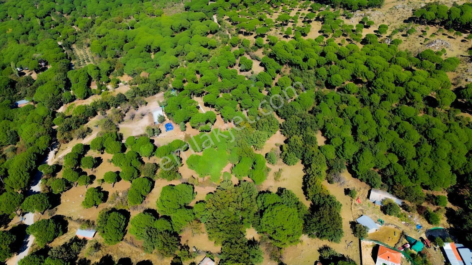 Bergama Kozak Yaylası Kıranlı Mah. Toplam 10.190m2 Satılık Tarla — fotoğraf 19